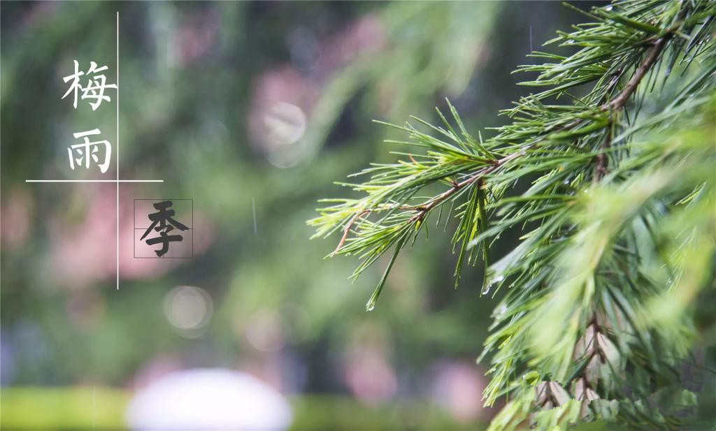 雨季到來，涂料施工需注意哪些問題